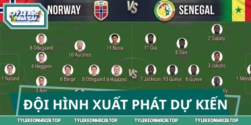 Lực lượng ra sân dự kiến của cả Na Uy vs Senegal