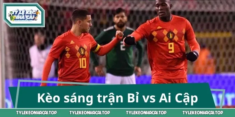 Nhận định kèo sáng trận Bỉ vs Ai Cập