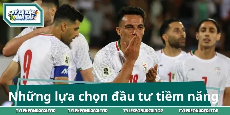 Những lựa chọn đầu tư tiềm năng nhất
